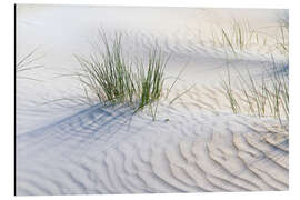 Magnettafel Dünengräser im Sand
