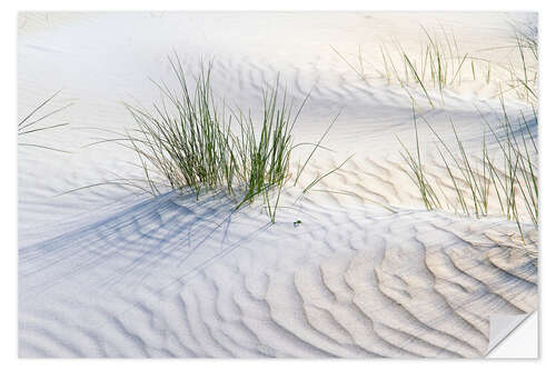 Vinilo para la pared Dunegrasses in the sand