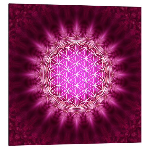 Gallery print Flower of life - symbol harmony and balance - red