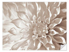 Autocolante decorativo Dahlia sepia