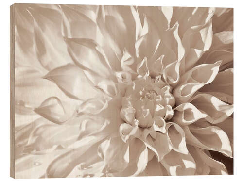 Tableau en bois Dahlia sépia