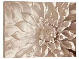 Wood print Dahlia sepia