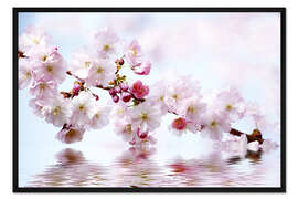 Gerahmter Kunstdruck Kirschblüten