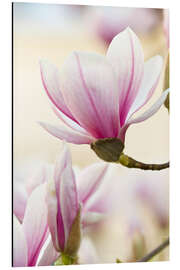 Magnettafel Magnolie II