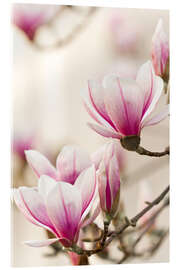 Stampa su vetro acrilico  Magnolia - Jan Schuler