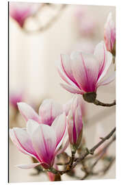 Magnettafel Magnolie I