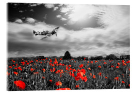 Akrylbilde  Spitfire poppy pass - airpowerart