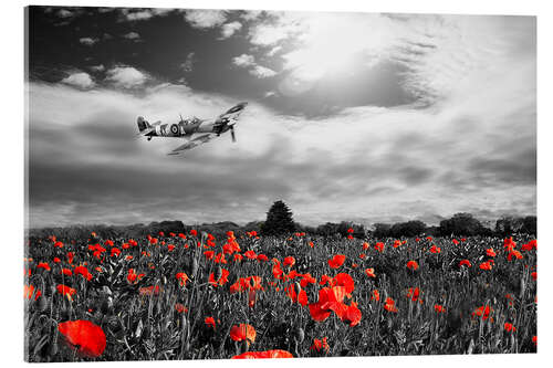 Acrylglasbild Spitfire Poppy Pass