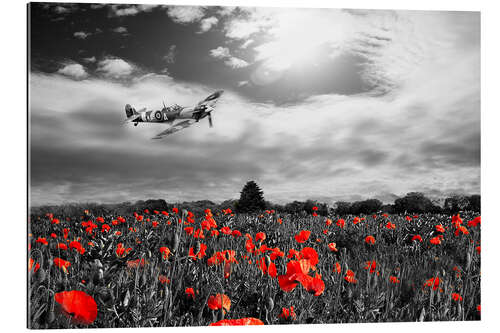 Gallery print Spitfire poppy pass