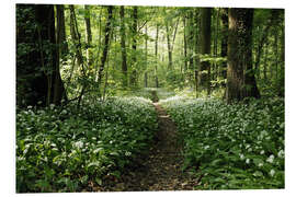 Foam board print Spring-Forest Ramsons