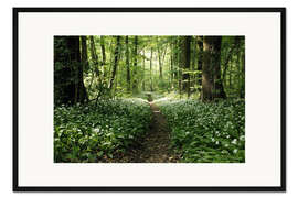 Gerahmter Kunstdruck Frühlings-Wald Bärlauch