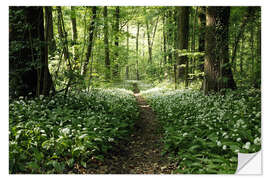 Wandsticker Frühlings-Wald Bärlauch