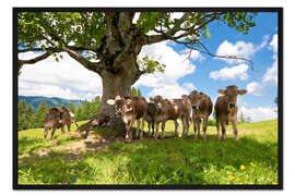 Gerahmter Kunstdruck Kälber