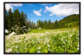 Gerahmter Kunstdruck Almwiese