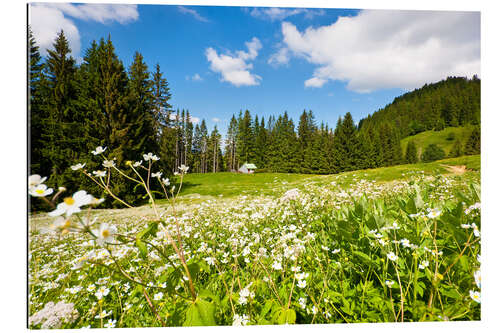 Galleritryk Alpine Meadows