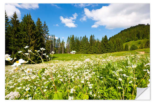 Vinilo para la pared Alpine Meadows