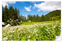 Muursticker Alpine Meadows