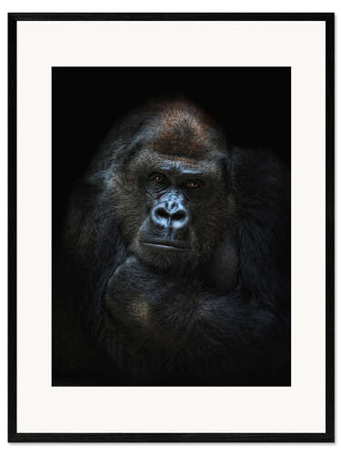 Framed art print she-gorilla