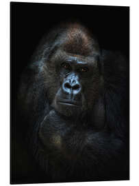 Magnettafel she-gorilla