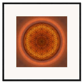 Ingelijste kunstdruk Flower of life 1