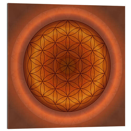 Gallery print Flower of life 1