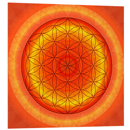 Foam board print Flower of Life 2