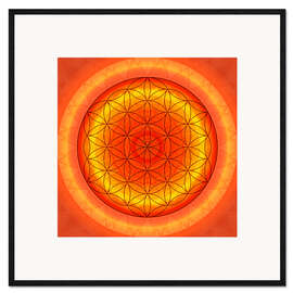 Ingelijste kunstdruk Flower of Life 2