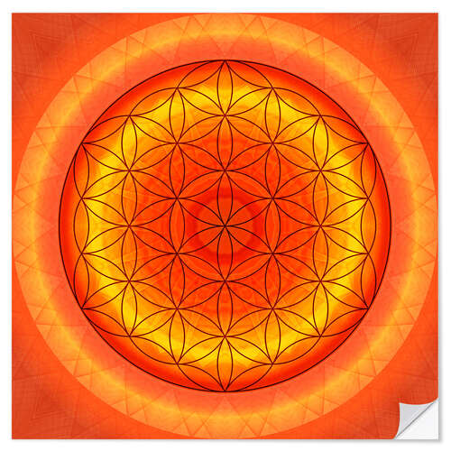 Selvklebende plakat Flower of Life 2