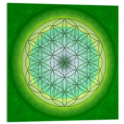 Acrylic print Flower of Life 3