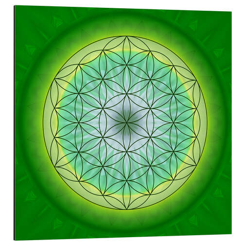 Aluminium print Flower of Life 3