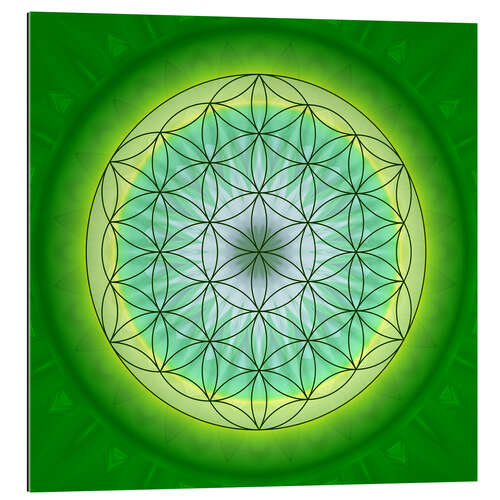 Gallery print Flower of Life 3