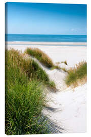Canvastavla  North sea dunes - Reiner Würz