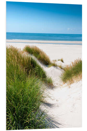 Foam board print North sea dunes