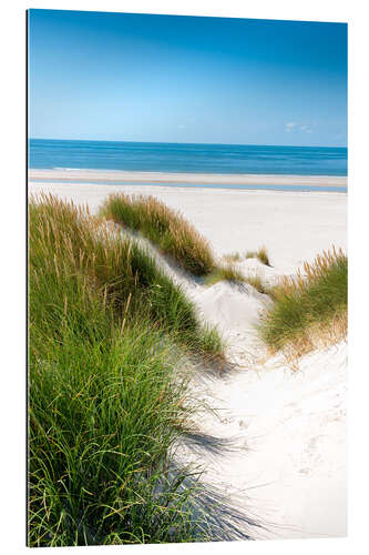 Gallery print North sea dunes