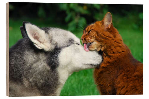 Holzbild Somali Katze bei der Katzenwaesche an einem Siberian Husky