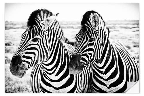 Muursticker Two Zebras