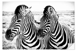 Wall sticker Two Zebras