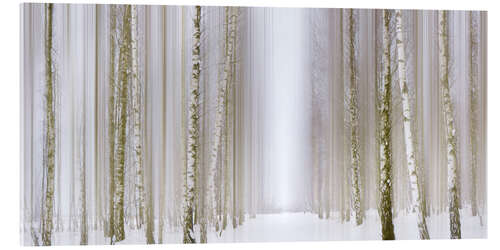 Acrylic print Birch forest in winter