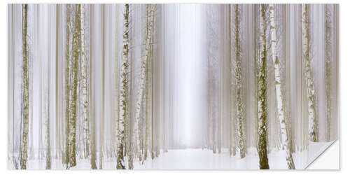 Wall sticker Birch forest in winter