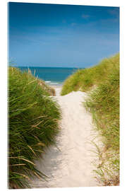Cuadro de metacrilato  Paseo en la playa a través de las dunas - Reiner Würz