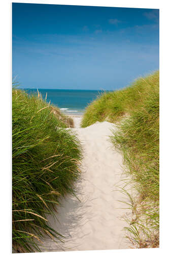 Tableau en PVC Chemin vers la plage dans les dunes