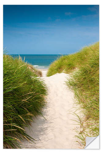 Naklejka na ścianę Path to the beach