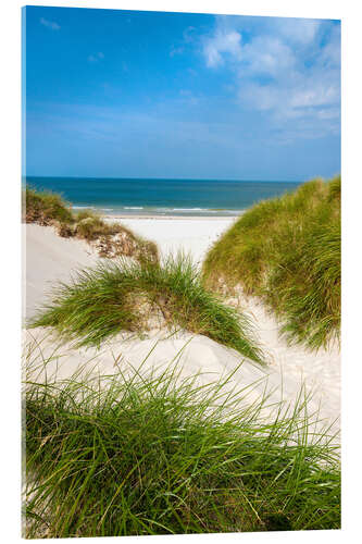 Quadro em acrílico Seascape with dunes and beach grass