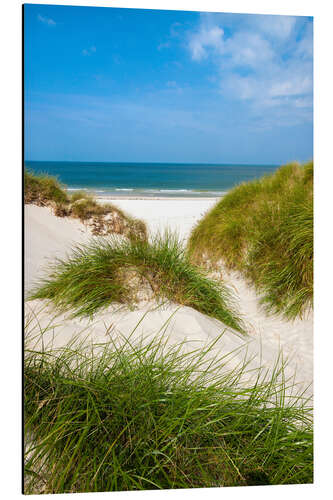 Tableau en aluminium Mer du Nord et merveilleuses dunes