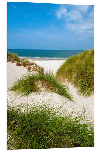 Foam board print Seascape with dunes and beach grass