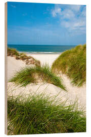 Obraz na drewnie Seascape with dunes and beach grass