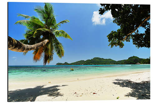 Aluminium print Palm Tree hanging over Beach