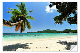 Selvklebende plakat Palm Tree hanging over Beach