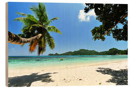 Holzbild Palm Tree hanging over Beach