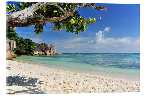 Stampa su vetro acrilico Wonderful Beach of the Seychelles